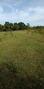 Commercial Lot For Sale In Panglao