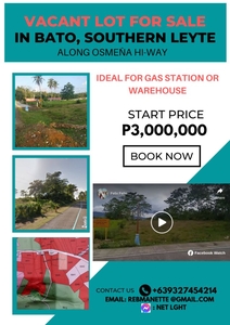 Commercial Lot in Bato, Southern Leyte along National Road for Sale