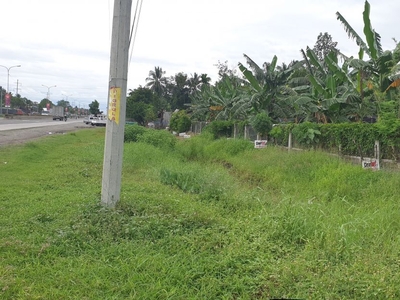 Commercial Lot in Carmen, Davao Del Norte (best for Warehouse/Factory) 22,500sqm
