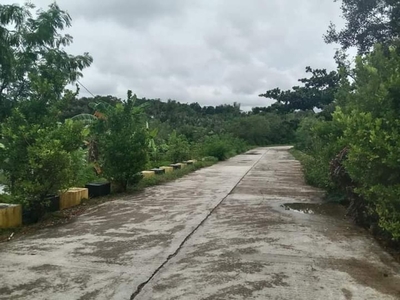 Commercial/Residential Land For Sale in Budiong, Odiongan, Romblon