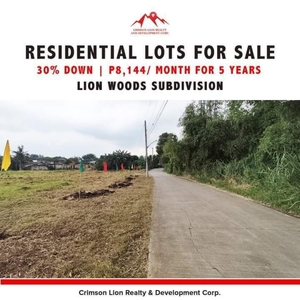 commercial & residential lot - padre garcia batangas