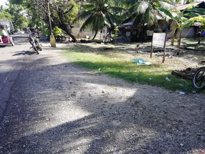 Commercial/Residential Lot with Beach Front For Sale in Oslob, Cebu