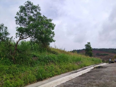 Corner Lot, Eastland Heights (Forest Hills, Antipolo), Lowest Price, 12,000/sqm