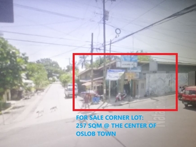 Corner Lot For Sale: 887 sqm Located at The Center of Oslob Town Proper
