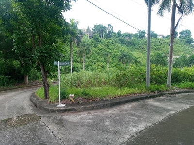 Corner lot for sale at El Monteverde de Cebu Consolacion area near SM 211sqm