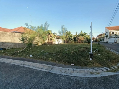 Corner Lot For Sale In Metrogate Subdivision Angeles City Pampanga