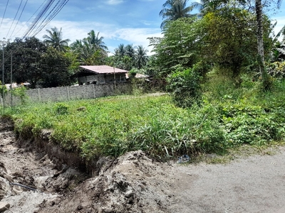 Corner Raw Lot in Poblacion Polomolok South Cotabato