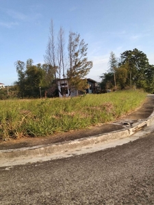 Corner Residential Lot for Sale in Glenrose East Subdivision, Taytay, Rizal