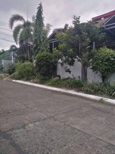 Don Jose quezon city 600 sqm house for rent 120k only