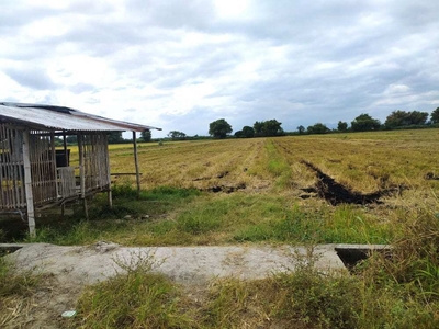 Farm/Agricultural Lot For SALE Pampanga