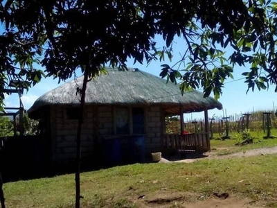 Farm Land in Iba Zambales