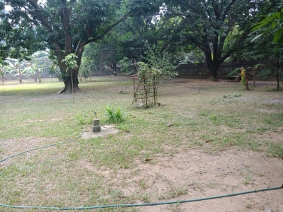 Farm Land with house & fruit trees in Santa Ana, Pampanga with clean Title