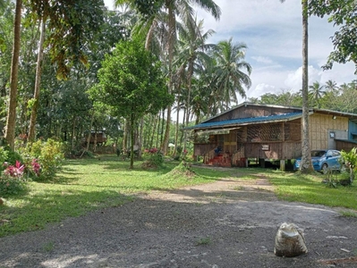 Farm Lot 4,408 sqm with Commercial Units & Main House, Lucban, Quezon