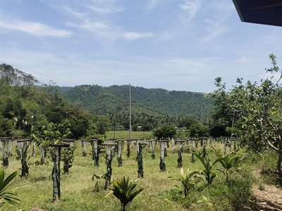 Farm lot for sale at Cabalwa, Mansalay, Oriental Mindoro