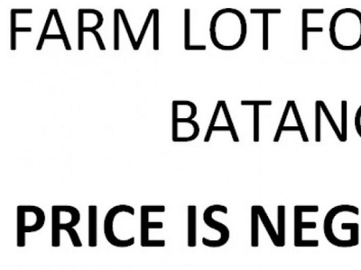 Farm lot for sale in Batangas | Farm land