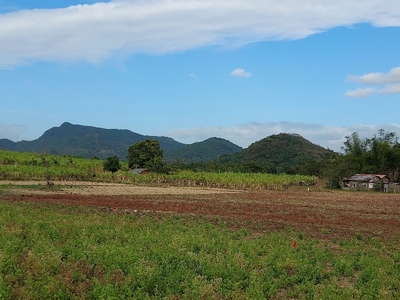 Farm Lot For Sale in Maugat, Nasugbu, Batangas