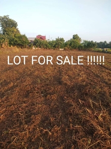 FARM LOT FOR SALE in Tuao Mungo Cagayan Valley, Philippines