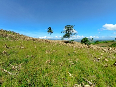 farm lot for sale ,located @ brgy sumilil sultan kud. with a 5.6 has titled