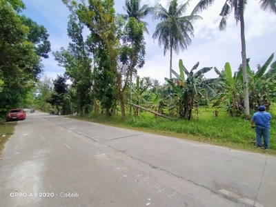 farm lot in lamacan sibonga