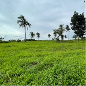 Farm Lot Property For Sale in Sabutan, Silang, Cavite