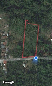 Farm Lot / Vacation Lot in Batangas Property