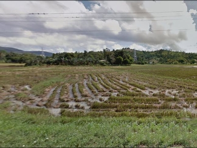 Farming and Residential lot for sale in Batiti, Concepcion, Iloilo