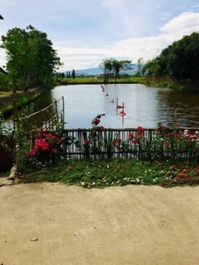 Fish Pond with Farm House in Cayanga, Bugallon, Pangasinan For sale