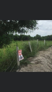 Fishpond - Agricultural Land for Sale in Betis, Guagua, Pampanga