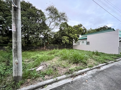 Flood Free Vacant Commercial Lot for Sale in Brgy. Dalig, Antipolo City