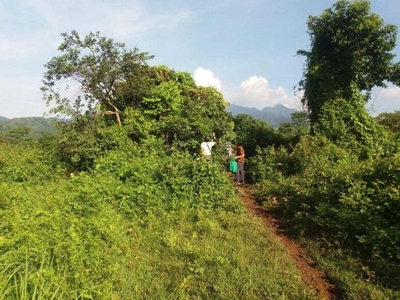 For sale 10 hectares of lot located at Brgy. Alas-Asin, Mariveles, Bataan