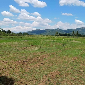 For sale 1000 sqm. Residential Farm Lot @ Brgy. Luna, Tuy, Batangas