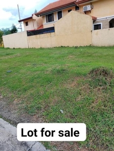 For Sale 100sqm Lot only Camella Sto. Tomas, Batangas