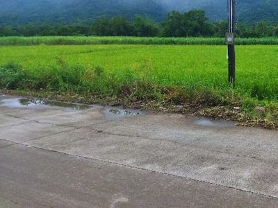For Sale 1.4 Hectares Lot along provincial road highway, Nasugbu
