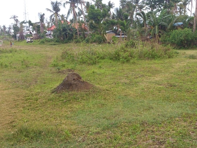 For Sale 1.5 Hectares Commercial Lot at Barangay Cayang, Bogo City, Cebu
