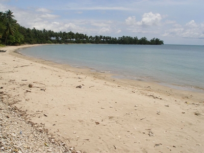 For Sale 16,363 sqm Beachfront Property in Aborlan