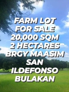 For Sale 2 Hectares Farm Lot in Brgy. Maasim, San Ildefonso, Bulacan