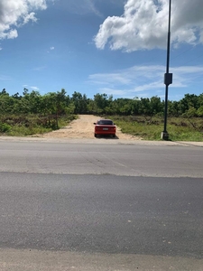 For Sale 2.05 Hectares Residential Lot in On Panglao, Bohol