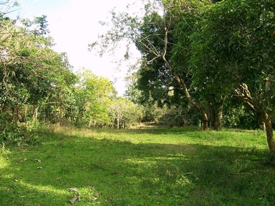 For Sale 261sqm Residential Investment Lot nr Tagaytay City in Mangas II Alfonso