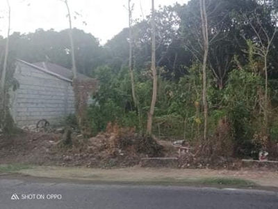 For Sale 2,677 sqm Large Farm/Residential land in Pandi, Bulacan