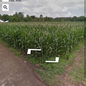 For Sale 2.7 Hectares Agriculture Lot in Cristo Rey, Iriga City