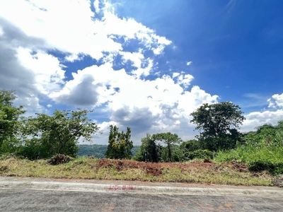 For Sale 283 sqm wide overlooking view of nature | near the expansion, Antipolo