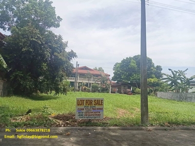 For Sale 300 sqm Lot at Town and Country Talisay, Negros Occidental
