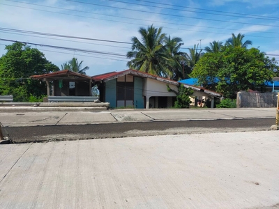 For Sale 467sqmtrs located in Cabubugan Guimbal