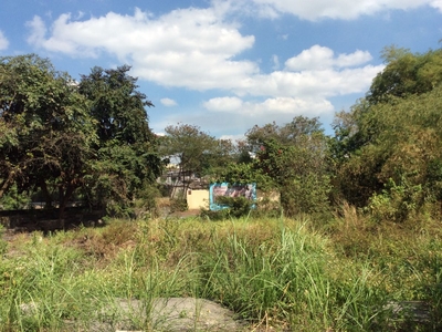 For Sale 4,684 sqm Titled Residential Lot Near Clark Area.