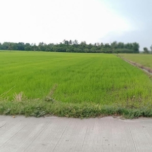 For sale 5 hectares agricultural land in Tacurong City