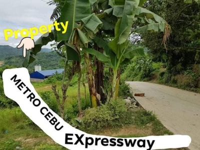 For Sale 5 titled lots in Cantao-An, Naga, Cebu