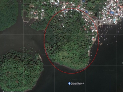 For Sale 5.8 Hectares Prime lot in Cambulaga, Sorsogon City