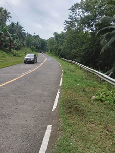 For Sale 6 Hectares Farm Lot Along National Highway, Alamada