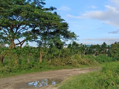 For sale: 6.5 hectare property