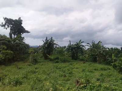For Sale 8,353 sqm Overlooking Vacant Lot in Tanauan City, Batangas